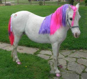 Pony